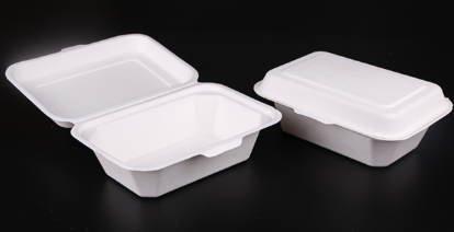 600ml bagasse Clamshell 600PCS